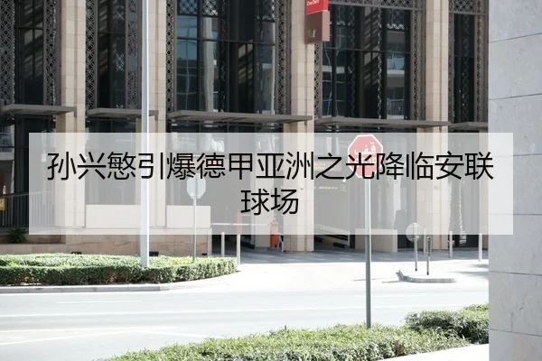 孙兴慜引爆德甲亚洲之光降临安联球场